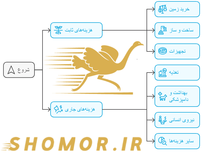 جدول هزینه پرورش شتر مرغ - پرورش شترمرغ چه هزینه هایی دارد؟
