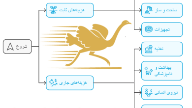 جدول هزینه پرورش شتر مرغ - پرورش شترمرغ چه هزینه هایی دارد؟