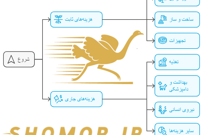جدول هزینه پرورش شتر مرغ  - پرورش شترمرغ چه هزینه هایی دارد؟