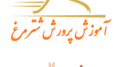 فصل دوم محل و ساختمان پرورش شترمرغ
