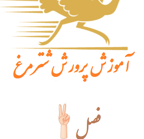فصل دوم محل و ساختمان پرورش شترمرغ