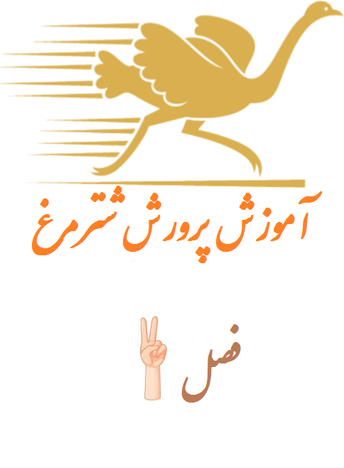 فصل دوم محل و ساختمان پرورش شترمرغ