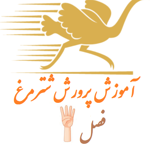 فصل چهارم خرید مواد اولیه پرورش شترمرغ