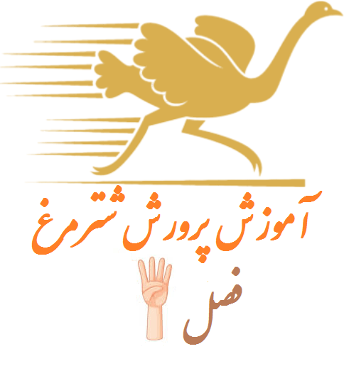 فصل چهارم خرید مواد اولیه پرورش شترمرغ