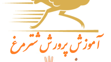 فصل سوم دما آب و مکان مناسب برای پرورش شترمرغ