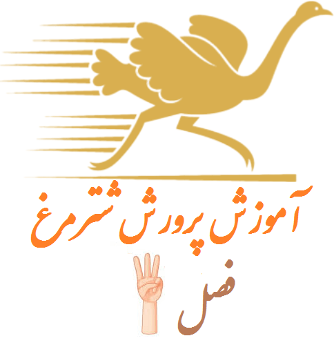 فصل سوم دما آب و مکان مناسب برای پرورش شترمرغ