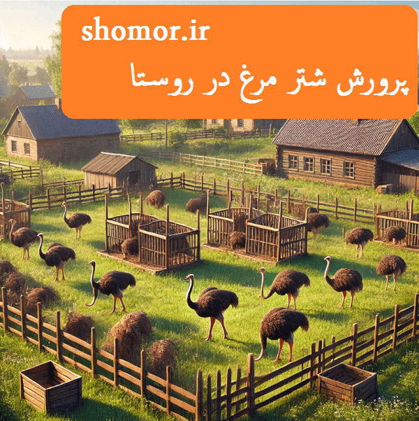 پرورش شتر مرغ در روستا