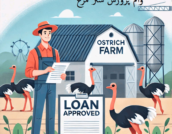 وام پرورش شترمرغ چقدر است