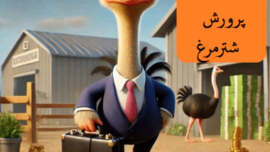 ریسک پرورش شترمرغ