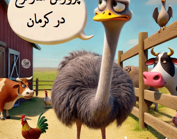 پرورش شترمرغ در کرمان