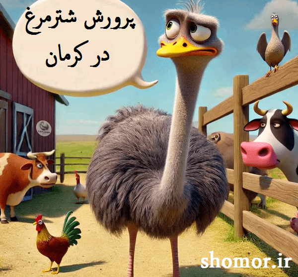 پرورش شترمرغ در کرمان