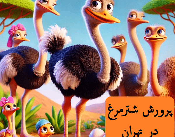 پرورش شترمرغ در تهران