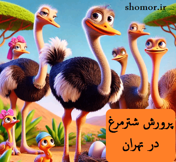 پرورش شترمرغ در تهران